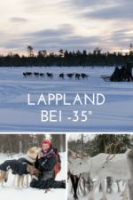 Cover Abenteuer Lappland - Die Husky-Tour des Lebens, Poster, Stream