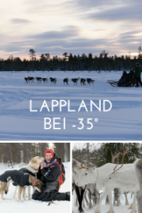 Cover Abenteuer Lappland - Die Husky-Tour des Lebens, Poster, HD