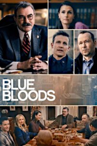 Cover Blue Bloods - Crime Scene New York, Poster, HD