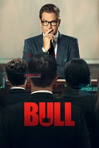 Bull Cover, Poster, Bull DVD