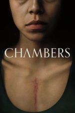 Cover Chambers, Poster, Stream