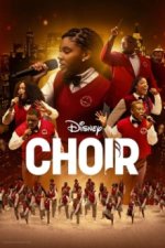 Cover Choir, Poster Choir
