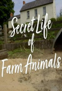 Cover Der Bauernhof – Die faszinierende Welt der Tiere, Poster, HD