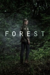 Der Wald Cover, Poster, Blu-ray,  Bild