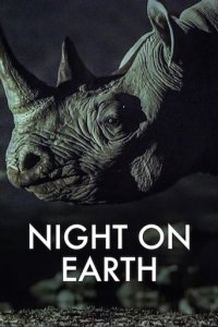 Die Erde bei Nacht Cover, Poster, Die Erde bei Nacht DVD