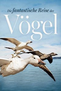 Cover Die fantastische Reise der Vögel – Federleicht und flügelweit, Poster, HD