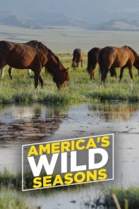 Cover Die Wildnis der USA: Vier Jahreszeiten, Poster, HD
