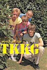 Cover Ein Fall für TKKG, Poster, Stream