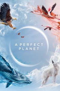 Cover Ein perfekter Planet, Poster Ein perfekter Planet