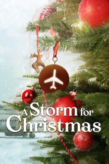 Ein Sturm zu Weihnachten, Cover, HD, Serien Stream, ganze Folge
