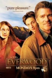 Everwood Cover, Poster, Everwood DVD