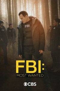 FBI: Most Wanted Cover, Poster, FBI: Most Wanted DVD