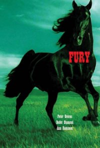 Fury - Die Abenteuer eines Pferdes Cover, Poster, Fury - Die Abenteuer eines Pferdes DVD