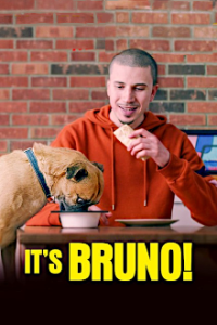 Cover It's Bruno!, Poster It's Bruno!