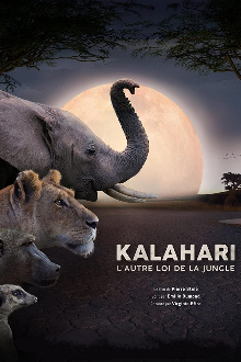 Kalahari: Land der geheimen Allianzen, Cover, HD, Serien Stream, ganze Folge