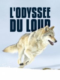 Cover Mit den Augen des Wolfes – Auf Streifzug durch Europa, Poster, HD