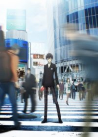 Persona 5 The Animation Cover, Poster, Persona 5 The Animation DVD