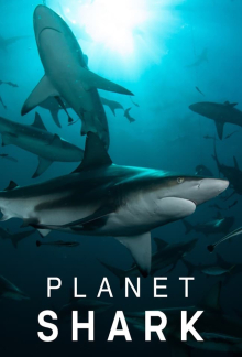 Planet Hai, Cover, HD, Serien Stream, ganze Folge