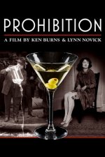 Cover Prohibition - Eine amerikanische Erfahrung, Poster, Stream