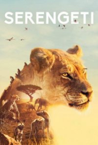 Serengeti Cover, Serengeti Poster