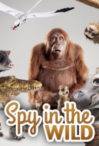 Cover Spione im Tierreich, Poster, HD