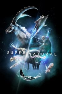 Cover Super/Natural, Poster Super/Natural