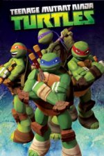 Cover Teenage Mutant Ninja Turtles, Poster, Stream