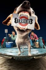 Cover Terriers, Poster, Stream