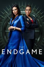Cover The Endgame, Poster, Stream