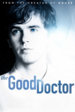 Cover The Good Doctor, Poster, Stream