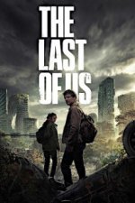 Cover The Last of Us, Poster, Stream