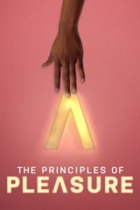 The Principles of Pleasure Cover, Poster, The Principles of Pleasure DVD