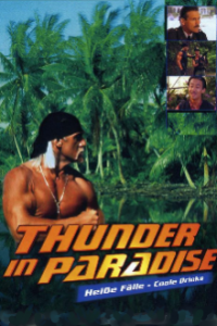 Thunder in Paradise  Cover, Poster, Thunder in Paradise  DVD