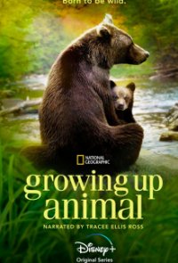 Tierisch gute Erziehung Cover, Tierisch gute Erziehung Poster