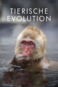 Cover Tierische Evolution mit David Attenborough, Tierische Evolution mit David Attenborough