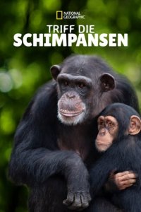 Cover Triff die Schimpansen, Poster, HD