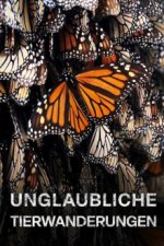 Cover Unglaubliche Tierwanderungen, Poster, Stream