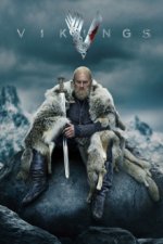 Cover Vikings, Poster, Stream