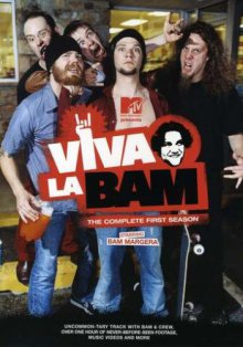 Viva la Bam Cover, Poster, Viva la Bam DVD