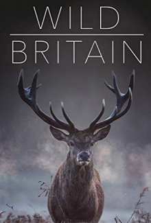 Wildes Großbritannien (2018), Cover, HD, Serien Stream, ganze Folge