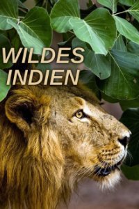 Cover Wildes Indien, Wildes Indien