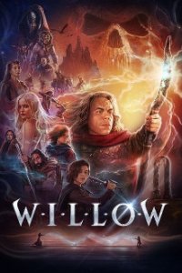 Willow Cover, Poster, Willow DVD