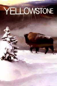 Yellowstone Nationalpark Cover, Yellowstone Nationalpark Poster